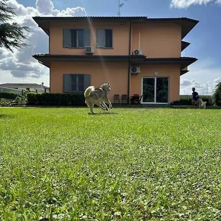 1 * Cassano D'adda