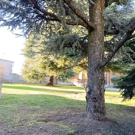 1 Cassano D'adda