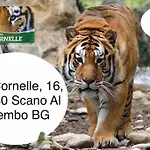 1 Appartamento *