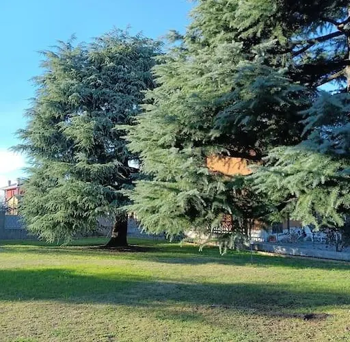 Apartament 1 *